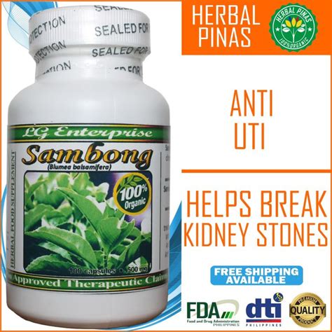 sambong capsule uti|UTI (Urinary Tract Infection) .